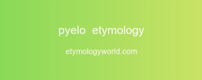 pyelo Etymology: The Origin and History of 'pyelo