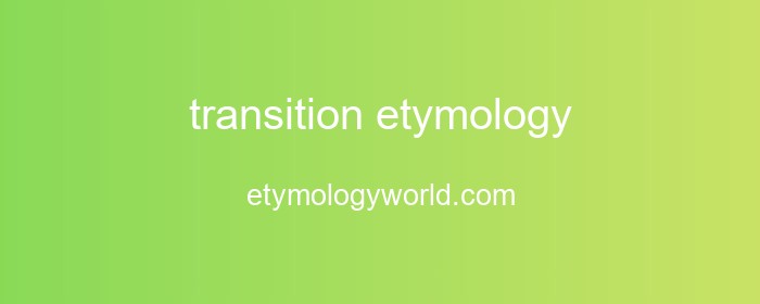 TRANSITION N MEANINGS ETYMOLOGY AND MORE visual data 4